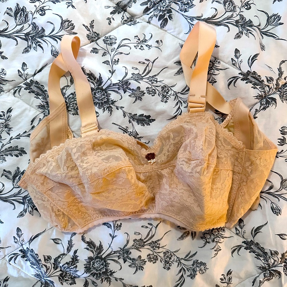 Ardyss Bra size 34G